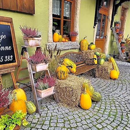 Gosciniec Pod Lipa Bed & Breakfast 3*